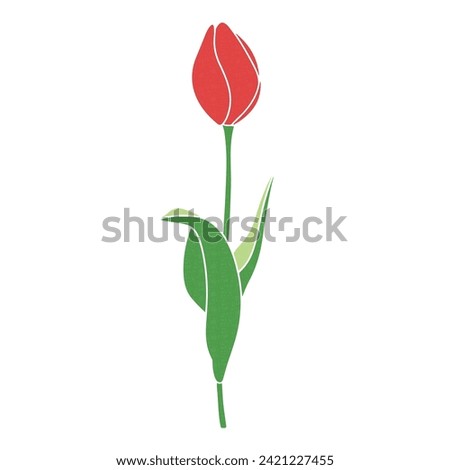 Illustration of tulip in bud red vector