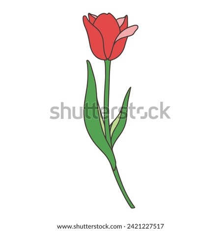 Illustration of a single tulip red vector