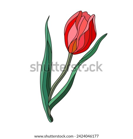 Decorative tulip flower, design element. Can be used for cards, invitations, banners, posters, print design. Floral background 