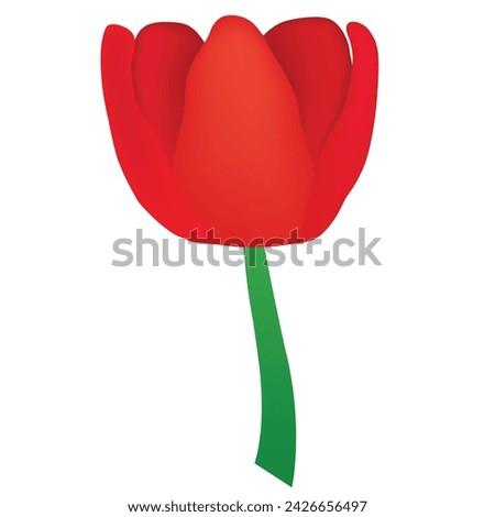 Beautiful red tulip twig with tulip blooming
