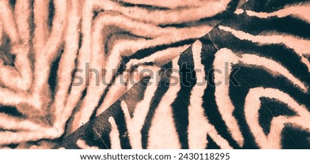 Dark Zebra Ethnic Pattern Design. Tribal Ornament Texture. Ikat Print. Fashion Watercolor Bleached Line, Ethnic Design Pattern. Tribal Abstract Background. Beige Cheetah