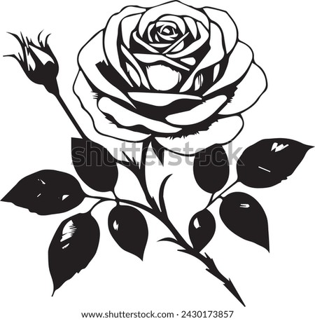 beautiful attractive rose flowers vector 