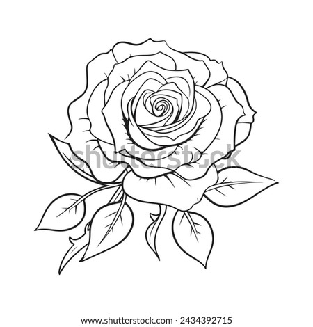 Simple, vector drawings of rose. illustration, coloring page design