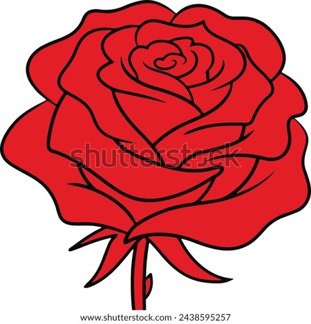 Beautiful and best Red Rose Flower 