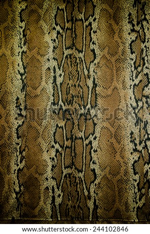texture of fabric stripes snake leather for background