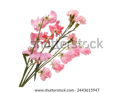 bouquet of pink carnation and sweet pea flowers isolated on a white background.