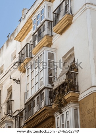A typical white yellow facade of a residential house in Cadiz, Andalusia, Spain, with windows and a balcony with plants flowers, on a narrow urban old town street