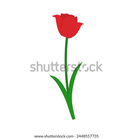 Spring tulip element. Ideal for making colorful summer and spring designs. Vector illustration.