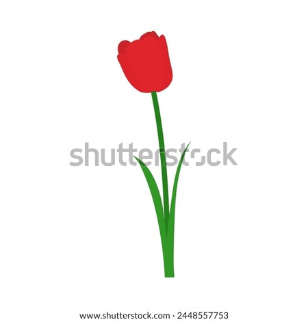 Spring tulip element. Ideal for making colorful summer and spring designs. Vector illustration.