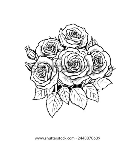 Rose flowers Line Art vector