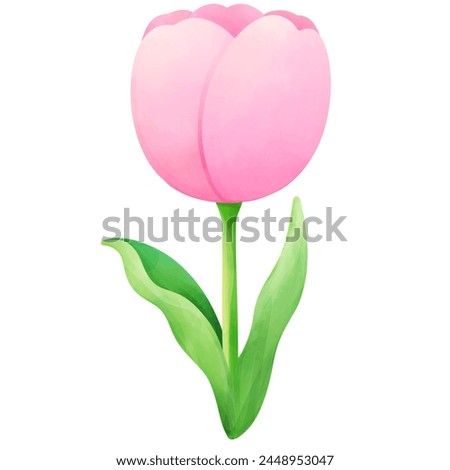 tulips pastel colors painting pink tulip	