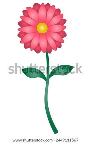 Daisy. Color vector illustration. Isolated white background. Flat style. Summer flower with stem and leaves. A perennial plant from the Asteraceae family. Idea for web design.