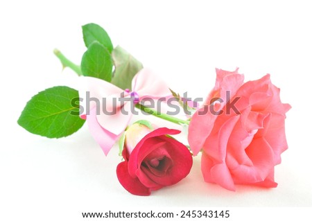 rose flower on valentine day 