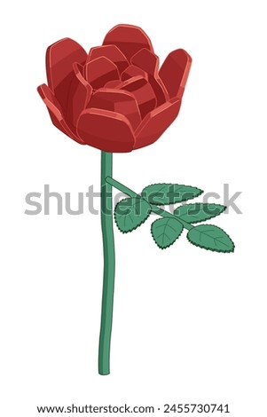 Single red rose - hand drawn isometric vector illustration.