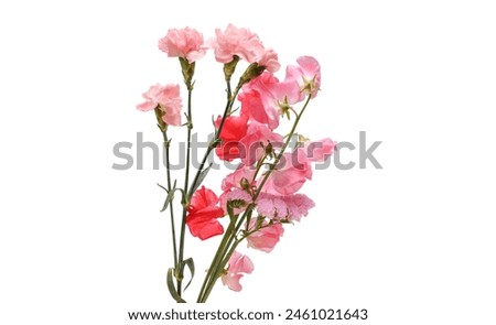 bouquet of pink carnation and sweet pea flowers isolated on a white background.