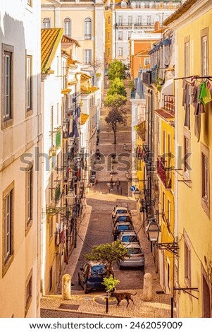 Narrow, authentic street of Lisbon, Portugal.