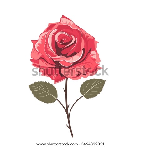 Red Rose Flower simple beauty