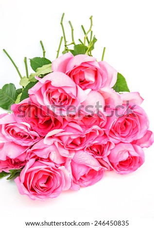 pink roses isolated on white background.