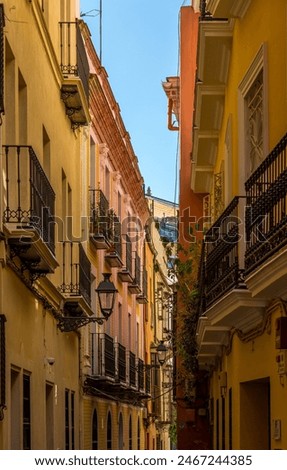The beautiful narrow streets of Seville, Spain, with the houses built closely together to create shade to keep them cool during the hot summers