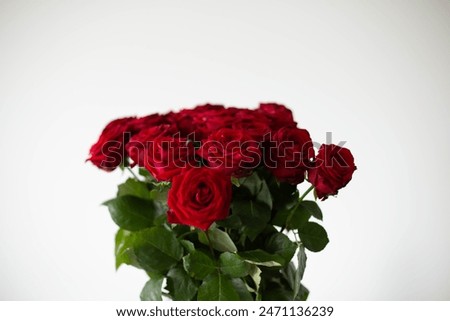 Huge bouquet of beautiful red roses on white background.