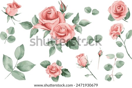 Set of watercolor roses and leaves on a transparent background. Watercolor composition of roses. Vector EPS 10