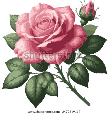 Flower design, Rose flower pattern, vector rose