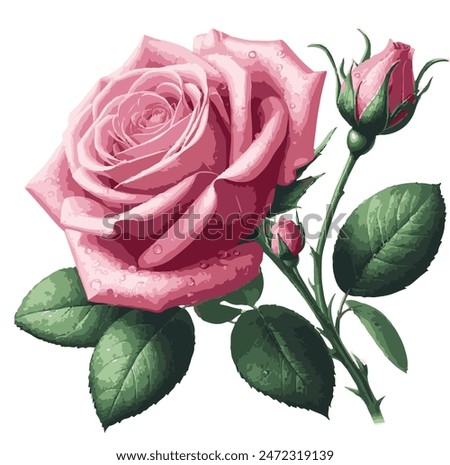 Flower design, Rose flower pattern, vector rose