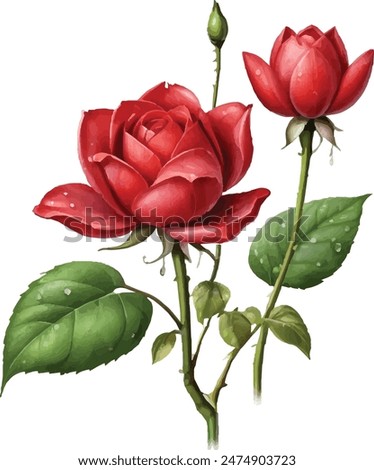  A garden rose is an isolated icon of a red blossom, petal, and bud with a green stem and leaf.