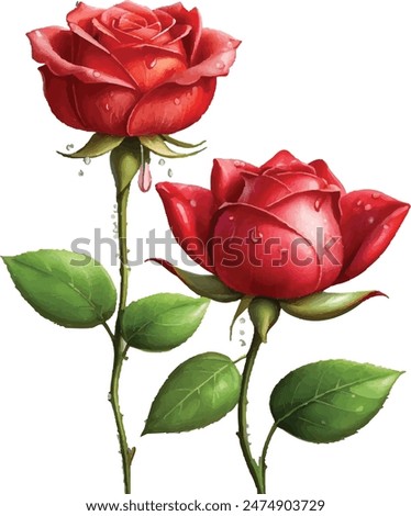  A garden rose is an isolated icon of a red blossom, petal, and bud with a green stem and leaf.