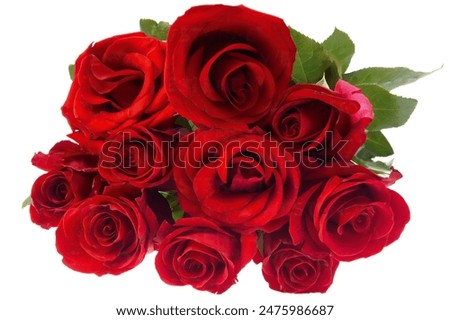 Bouquet of red roses isolated on white, close up