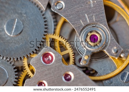 wrist watch mechanism and ruby inside, time passing concept