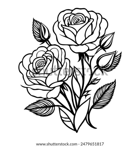 Roses flower hand draw illustration black