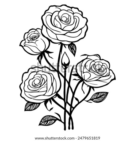 Roses flower hand draw illustration black