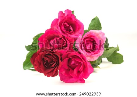 Red roses, Valentines Day background