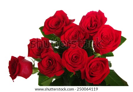 Red roses bouquet on white background 
