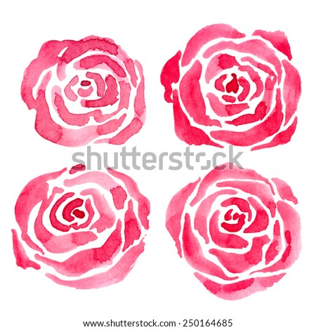 Four pink watercolor roses on isolated background