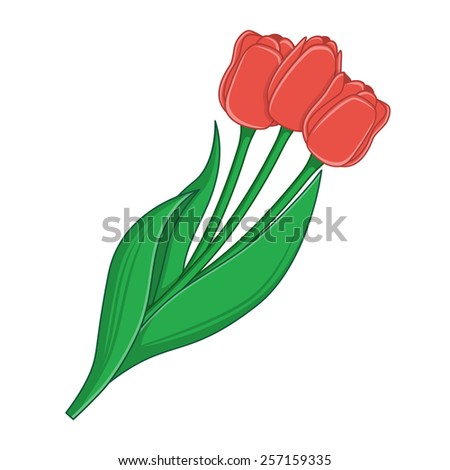Bouquet of tulips. Design element isolated on white. Eps 10 vector illustration.