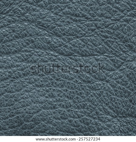 gray-blue leather texture closeup