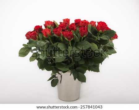Bouquet of roses in dirty grey background, Big bouquet of red roses, anniversary bouquet, many red roses isolated in white background, 40 roses, 45 roses, million roses