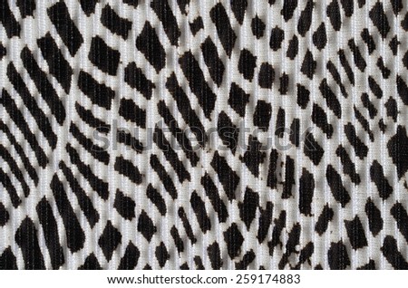 Black and white pattern - abstract backdrop