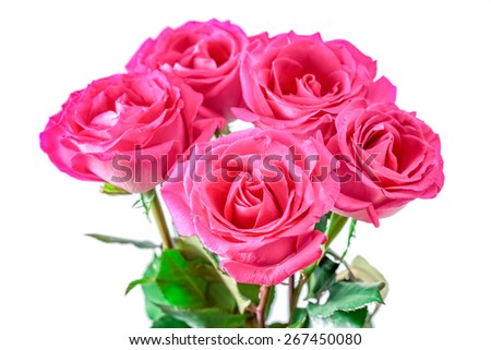 Bouquet of beautiful pink roses on white background