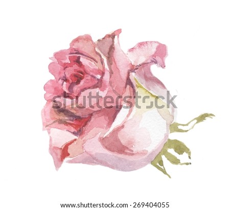 pink rose watercolor 3