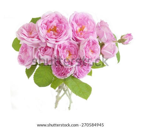 Rose flowers bunch isolated on white background 