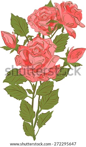 A bouquet of pink roses in vintage style. Vector illustration.