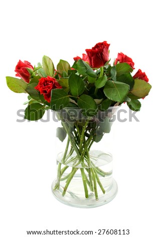 Bouquet of red roses in vase, isolated on white background
