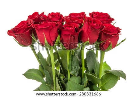  Red Roses Arrangement 