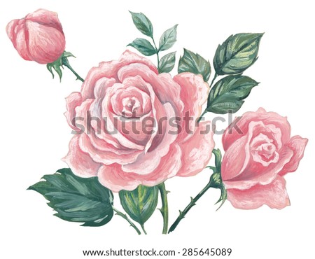 roses isolated on white background - oil painting illustration
