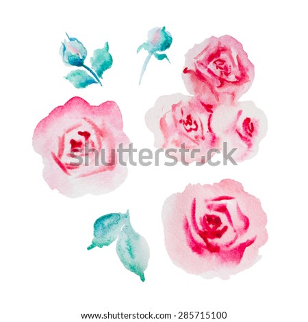 Watercolor flower collection. Pale pink roses watercolor illustration