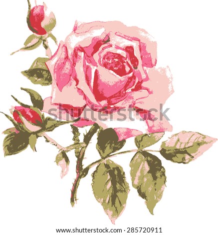 Trace vector of elegant rose