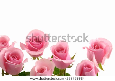 Set of roses 